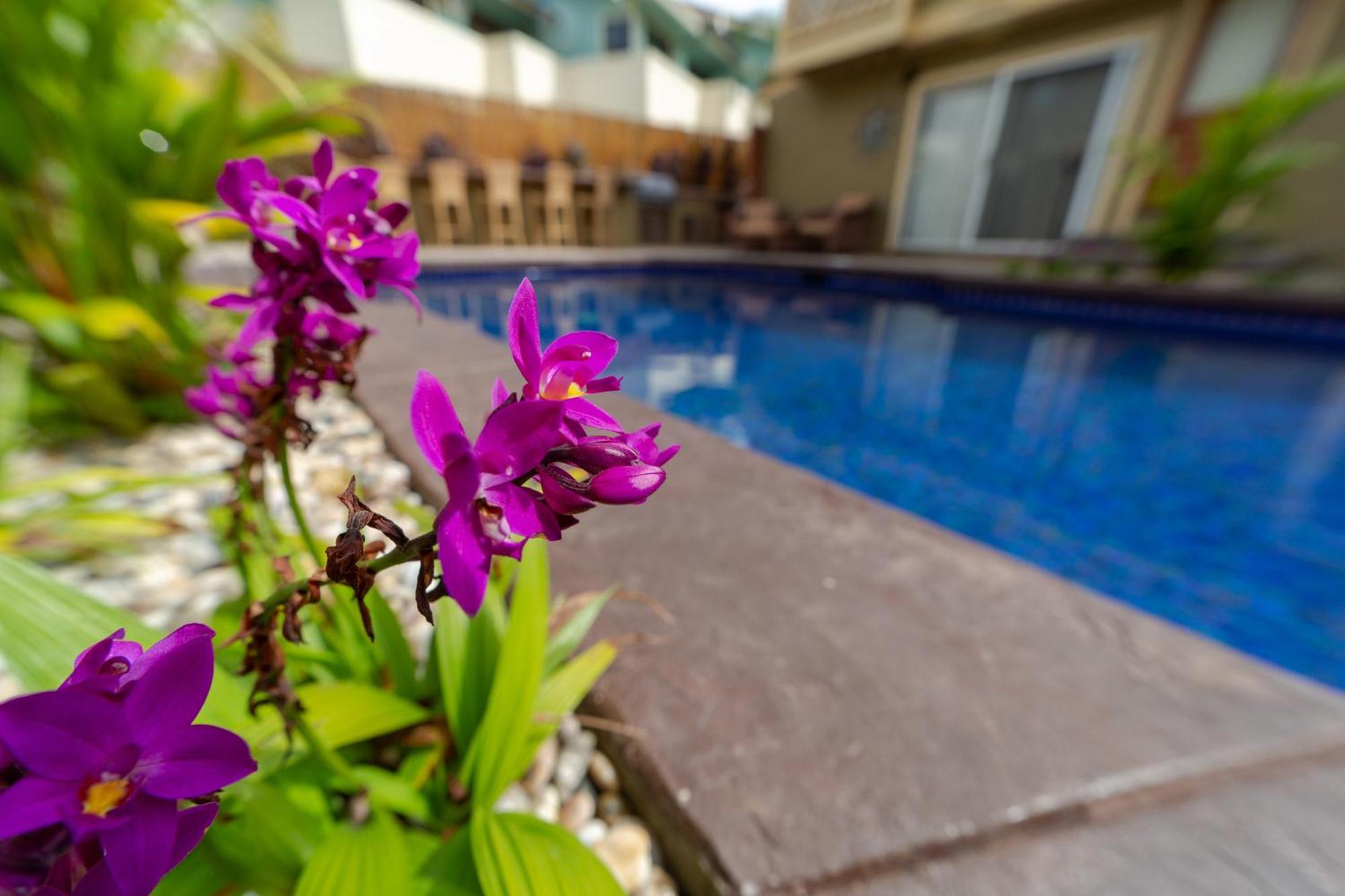 Plumeria Suite, 2-bedroom In A Boutique Property, Sleeps 6, Pool & Bbq * Kīhei