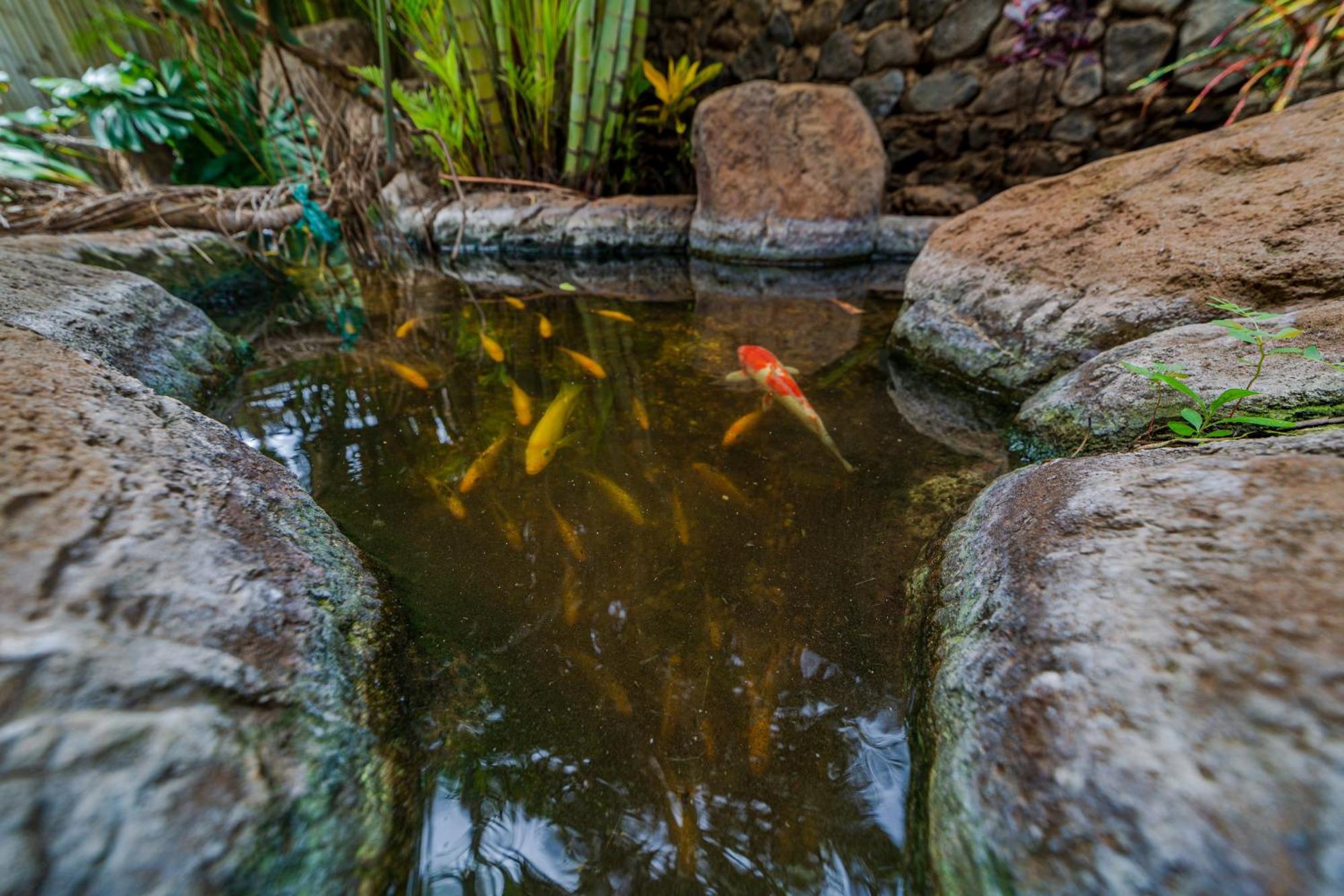 Plumeria Suite, 2-bedroom In A Boutique Property, Sleeps 6, Pool & Bbq * Kīhei